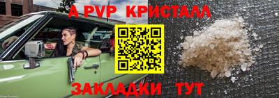 прущие грибы Гатчина
