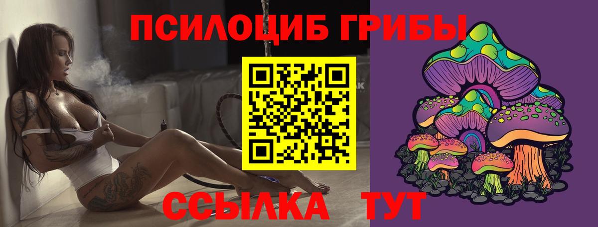 Галлюциногенные грибы Cubensis  Вход с VPN  Галлюциногенные грибы Psilocybe  Москва 