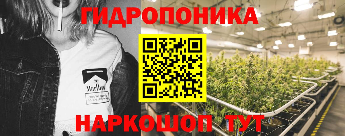 A-PVP Москва